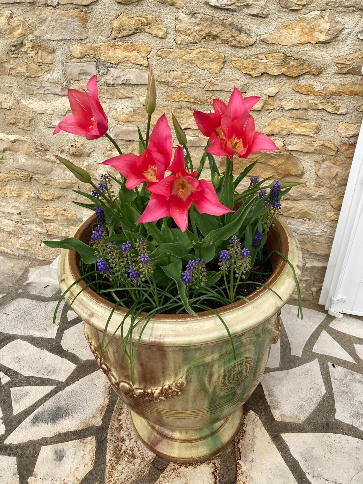Bed and Breakfast La Grange Blanzay Esterno foto
